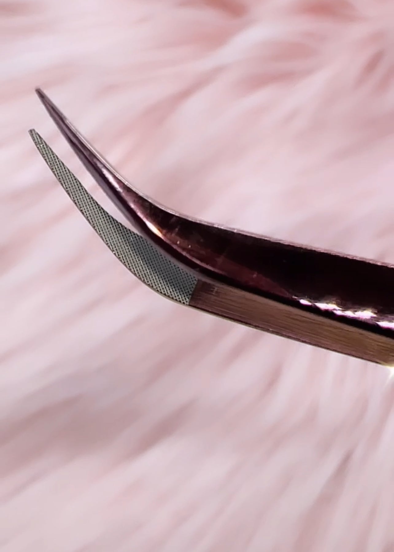 Fairy Hearts Tweezer